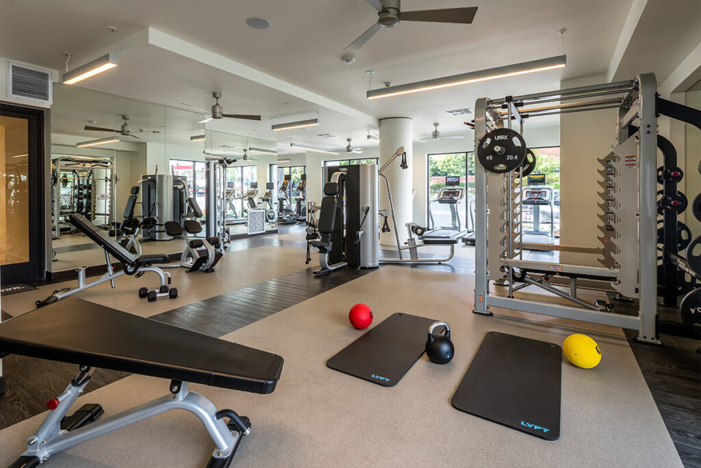 Fitness center with free weights and cardio equipment